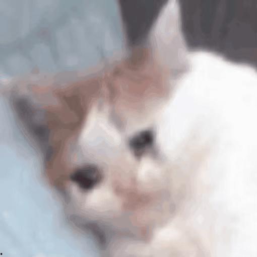 吃瓜表情包动图,趣味横生的网络文化现象